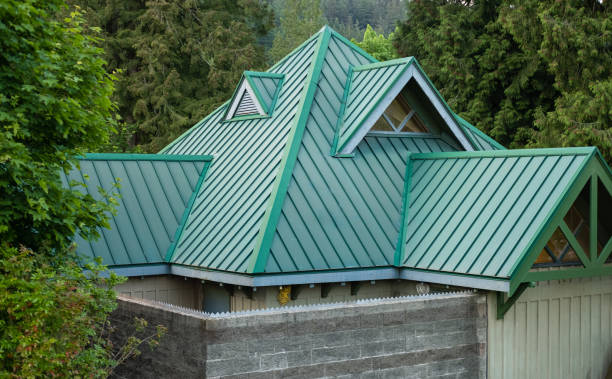 Best Skylight Installation and Repair  in Bonne Terre, MO